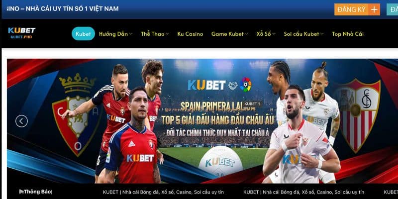 Giới thiệu sơ qua các thông tin về web cược