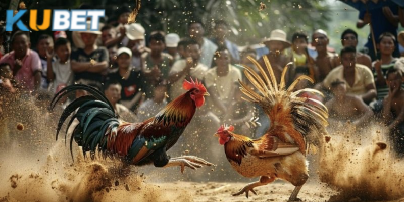 Nơi cá cược kịch tính và cơ hội thắng lớn