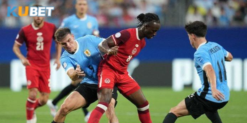 Mẹo đặt cược Copa America phân tích lịch sử đối đầu