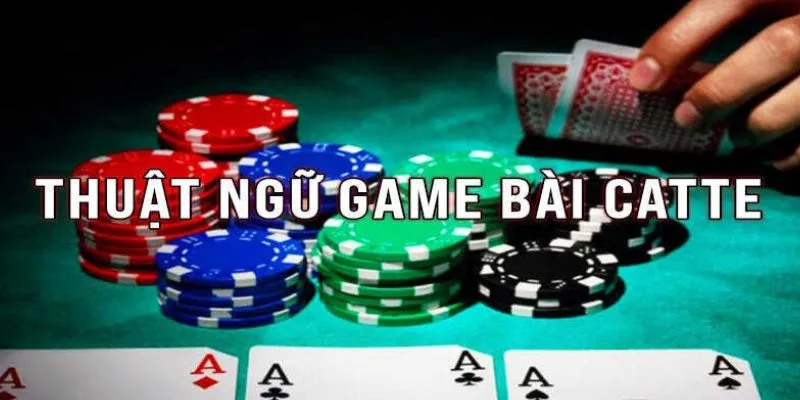 Hướng dẫn cơ bản về cách chơi catte dễ thắng tại Kubet