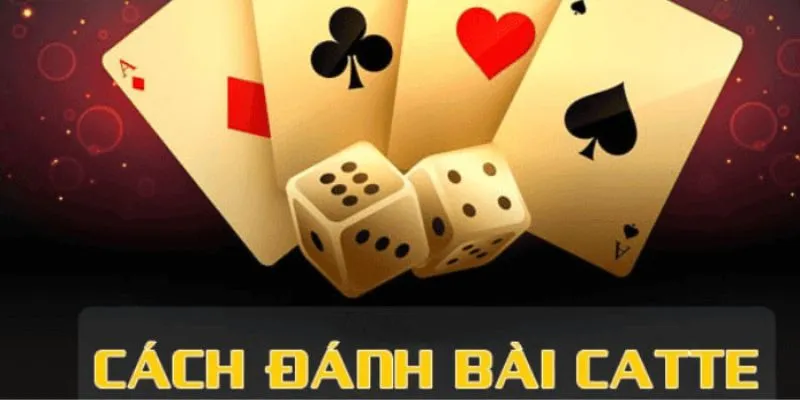 Kinh nghiệm chơi catte từ những cao thủ