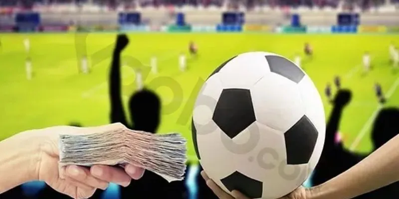 Cách soi kèo bóng đá cho người mới bắt đầu